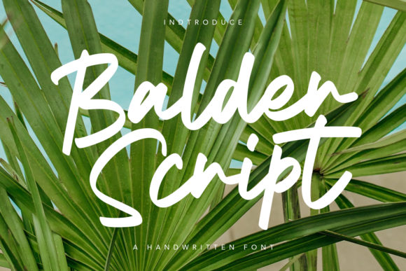Balder Script: A Handwritten Font with Modern Appeal