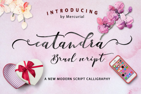 Catandra Script: A Versatile Handmade Font for Modern Design