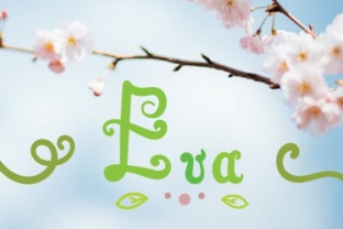 Eva Script: A Playful Font That Speaks to Modern Creativity