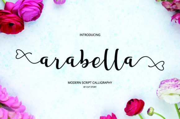 Evaluating Arabella Script for Professional Design Projects