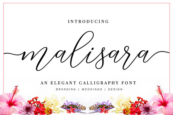 Malisara Script: A Romantic Touch for Your Creative Projects