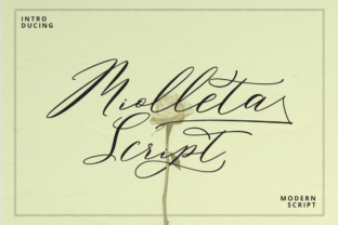 Miolleta Script: A Timeless Touch for Modern Design